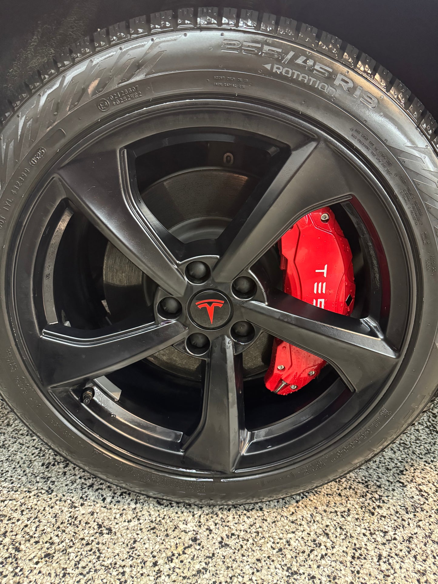 Model Y Juniper Caliper Covers